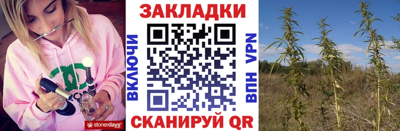 Что такое Зима АМФ Меф Alpha-PVP Псилоцибиновые грибы Cocaine Конопля