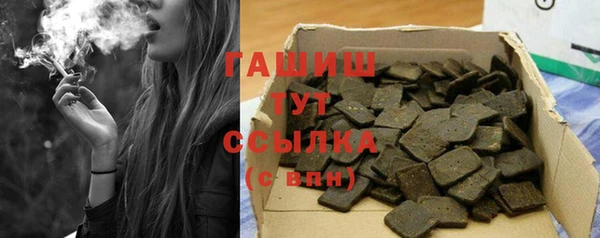 индика Волоколамск