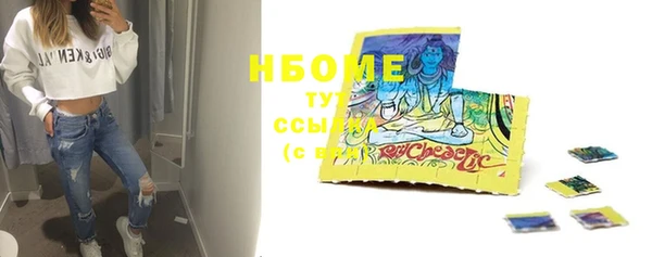 индика Волоколамск