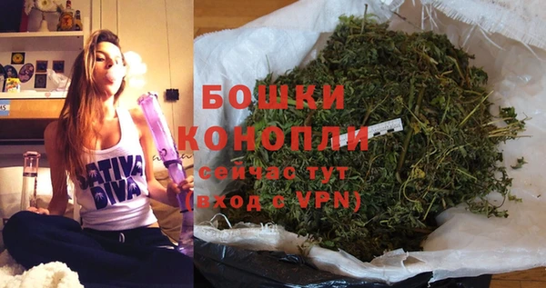 индика Волоколамск