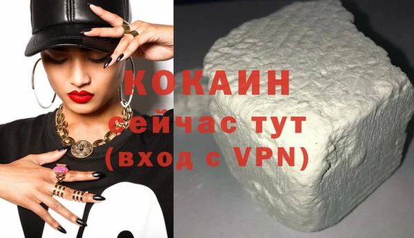 индика Волоколамск