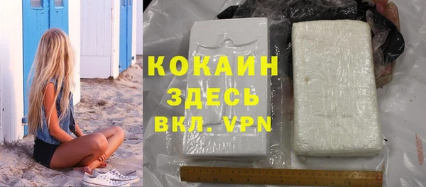 индика Волоколамск