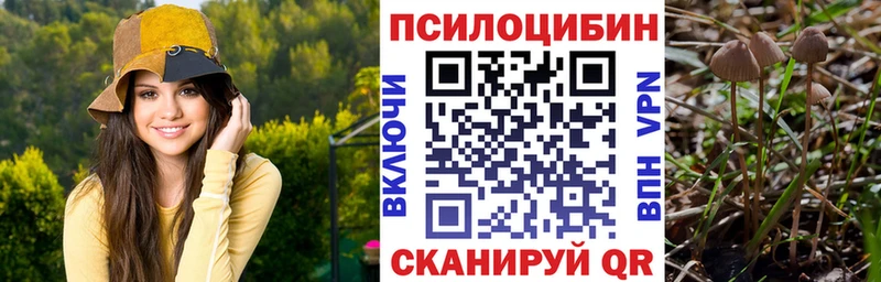 Псилоцибиновые грибы Psilocybine cubensis  Зима 