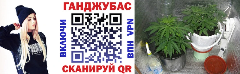 Бошки Шишки Ganja  где купить наркоту  нарко площадка формула  Зима 